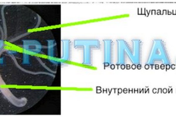 Кракен онион ссылка на тор