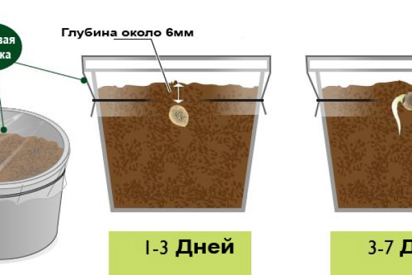 Как попасть на сайт кракен